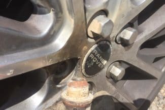 Gallery 12 34604325 1700301066721211 1824176707733553152 n